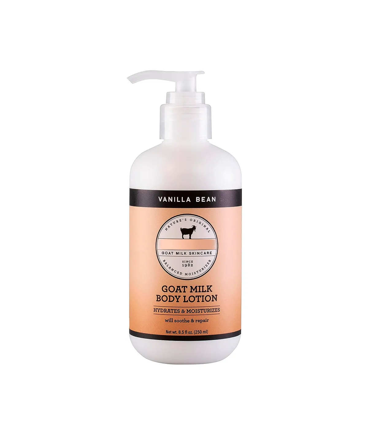 Body Lotion
