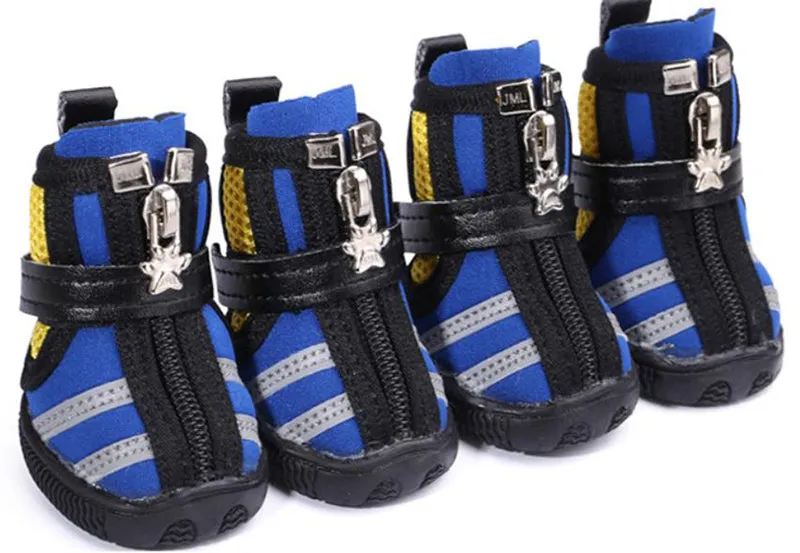 Small dog running shoes
