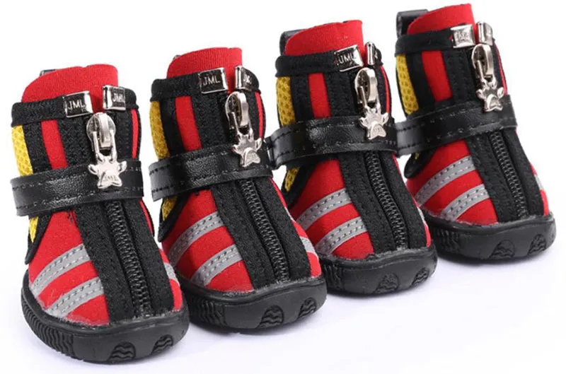 Small dog running shoes